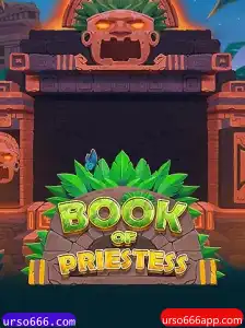 Descubra o Fascinante Mundo de BookOfPriestess
